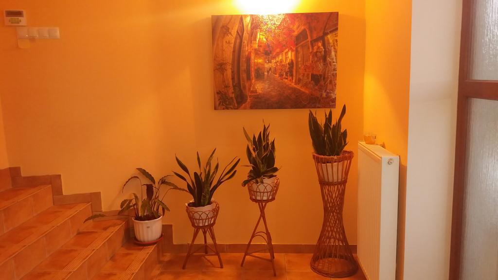 Avoca * Pyrzowice